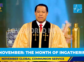 𝗡𝗼𝘃𝗲𝗺𝗯𝗲𝗿 𝗶𝘀 𝑻𝑯𝑬 𝑴𝑶𝑵𝑻𝑯 𝑶𝑭 𝑰𝑵𝑮𝑨𝑻𝑯𝑬𝑹𝑰𝑵𝑮